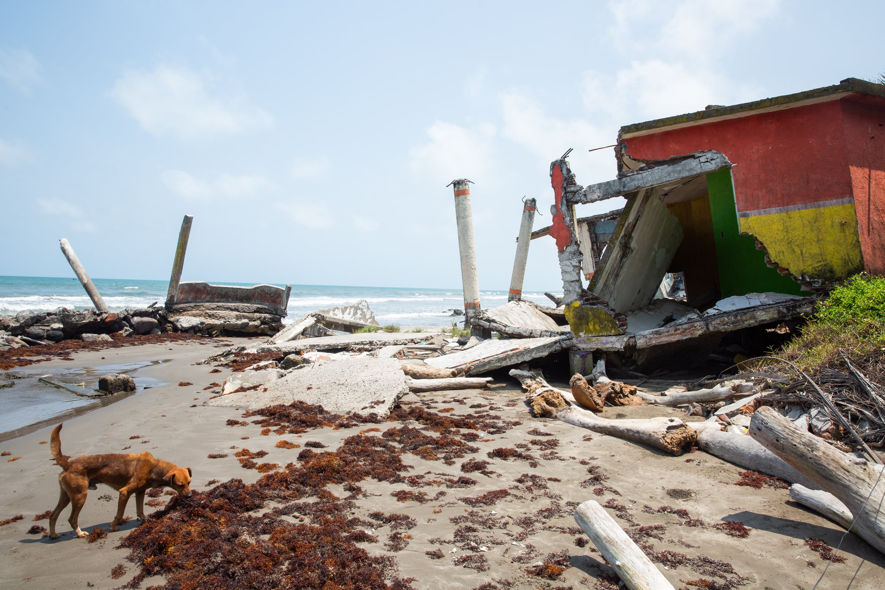 Una comunidad en Veracruz resiste a ser desplazada por el mar