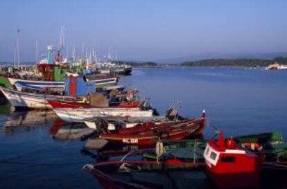 Barcos en el puerto de O Grove (Pontevedra).