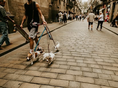 Calle peatonal de Barcelona.