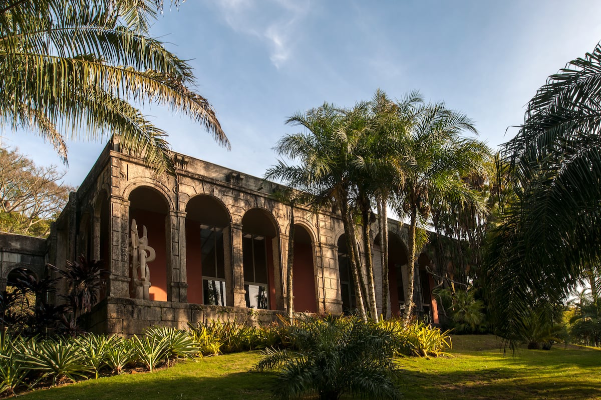 Más de 3.500 plantas, cascadas y operetas en directo: así fue la residencia de Roberto Burle Marx
