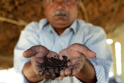 Gangadhar Bhukya es uno de los agricultores que pertenece a una de las minorías étnicas de la zona, Ha comenzado a utilizar paneles solares para regar el campo y lombrices que sirven de abono natural y orgánico en las plantaciones. El exceso de pesticidas es también un grave problema en la productividad de la tierra.