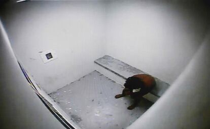La imágenes, emitidas anoche en el programa "Four Corners" de la televisión estatal ABC, muestran las torturas grabadas por las cámaras de seguridad del recinto y otros dispositivos electrónicos que llevaban los propios guardas. En la imagen, un adolescente sentado en una celda en un centro de detención juvenil en la ciudad de Darwin.