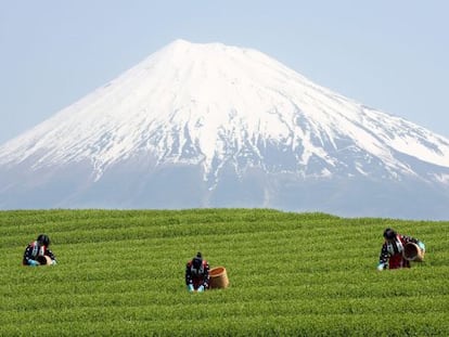 El monte Fuji, declarado esta sábado Patrimonio de la Humanidad