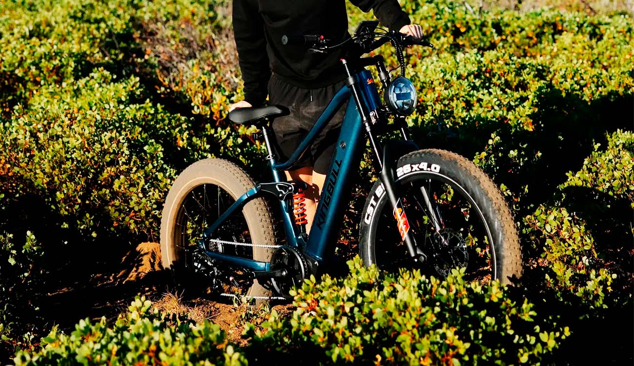 Bici eléctrica Kingbull Rover 2.0