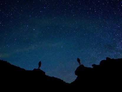 Gran Canaria es un destino privilegiado para el avistamiento estrellas.