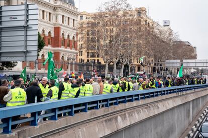 Agricultores y ganaderos durante la protesta ante el Ministerio de Agricultura, este jueves.