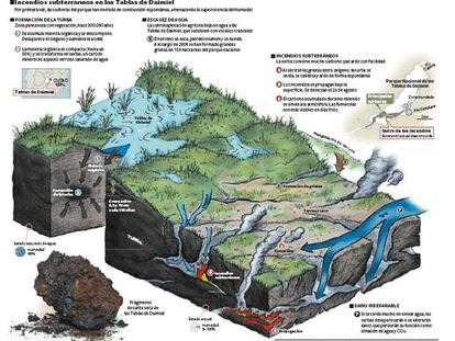 Incendios subterráneos en las tablas de Daimiel
