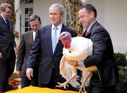 El presidente estadounidense George W. Bush observa al granjero Nathan Hill (a la derecha) tras perdonar al pavo llamado <i>Pumpkin</i> junto con los miembros del la Asociación Nacional de los Pavos en el jardín de la Casa Blanca. El perdón a un pavo es una tradición de la Casa Blanca el día antes de Acción de Gracias.
