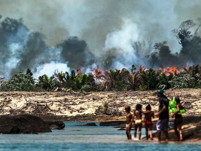 Las islas del Xingú fueron arrasadas para despejar el camino a la construcción de la presa.