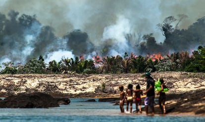 Las islas del Xingú fueron arrasadas para despejar el camino a la construcción de la presa.