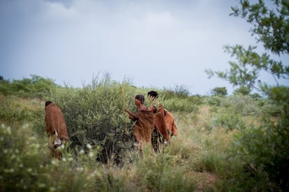 Tres mujeres seleccionan frutos de un arbusto durante un paseo por el bosque con un grupo de turistas.