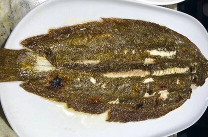 LENGUADO PINTÓN A LA PARRILLA / CAPEL