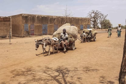 Si hay un conflicto en el mundo que pasa desapercibido en las portadas de los principales medios de comunicación, es el conflicto del Sahel. Desde enero de 2012, cuando una coalición de grupos rebeldes y yihadistas inició una rebelión armada, unas 15.000 personas han sido asesinadas y tres millones han huido de sus hogares. Malí y Burkina Faso son los países más afectados por una guerra invisible que está causando una verdadera catástrofe humanitaria: 3.000 escuelas y centros de salud cerrados, regiones enteras bajo el control de los radicales, violencia intercomunitaria y represión contra la población civil en un contexto de extrema pobreza y aumento de la sequía debido al cambio climático. En Mali la situación ha sido tan crítica que incluso ha desembocado recientemente en un golpe de estado llevado a cabo por altos cargos del ejército maliense. <p>En la imagen, de marzo de 2020, una mujer desplazada azuza a dos burros para que tiren de su carro por los arenosos caminos de Barsalogho, un pueblo burkinés del Sahel donde desde inicios de 2019 existe un campo para desplazados internos que acoge a unas diez mil personas.</p>