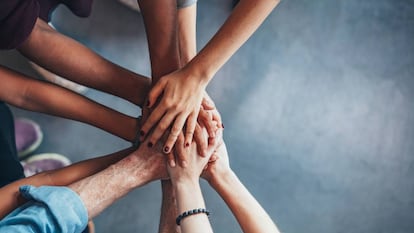 Cómo invertir en fondos éticos y solidarios con rentabilidad