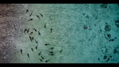 Fotograma del documental 'Un nuevo mundo', del director de cine y activista francés Cyril Dion.