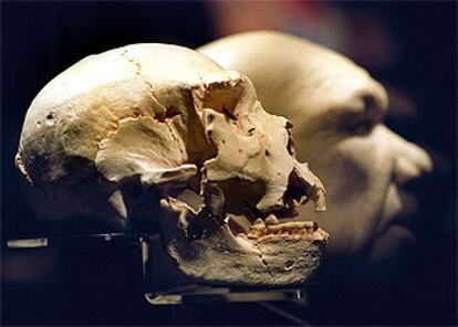 Copia del cráneo Nº 5 (Atapuerca) y reconstrucción de la cara.