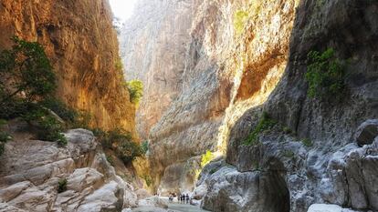 Un grupo de senderistas en el cañón de Saklikent.