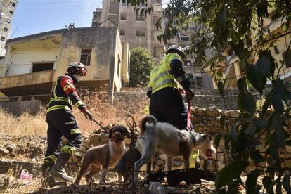 Los bomberos españoles y sus perros buscan supervivientes en el barrio de Mar Mikhael, colindante al puerto.