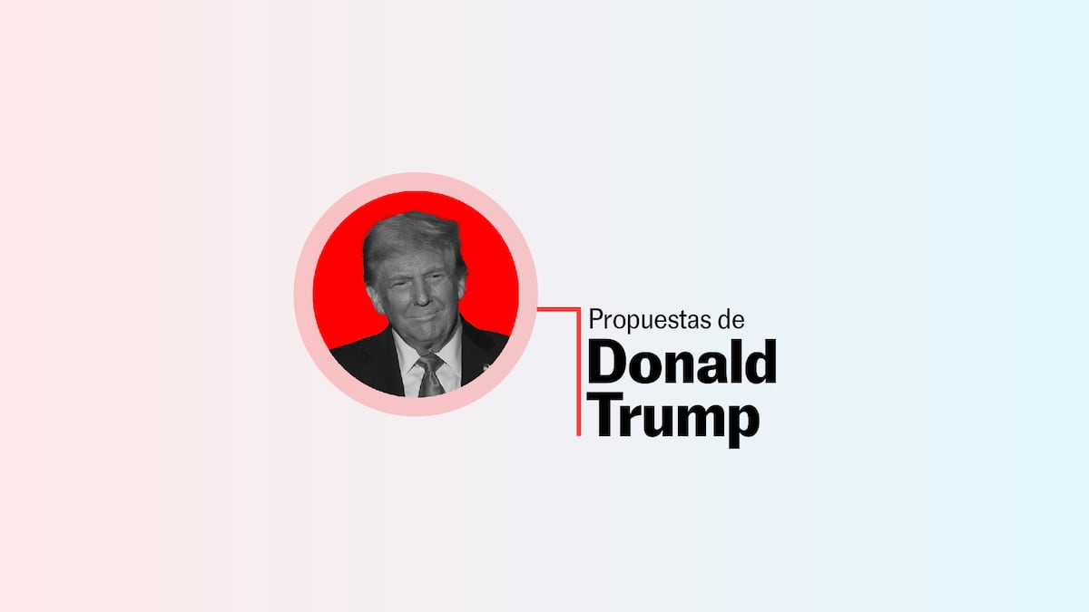 Republican Party candidate Donald Trump’s proposals. usa elections