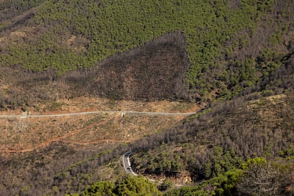 Una vista panorámica de la carretera que va desde el alto de Los Reales a Jubrique. Al fondo, una de las zonas forestales afectadas por los incendios de 2021.