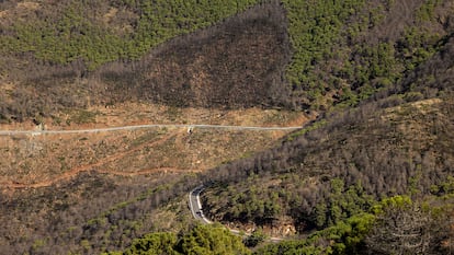 Una vista panorámica de la carretera que va desde el alto de Los Reales a Jubrique. Al fondo, una de las zonas forestales afectadas por los incendios de 2021.