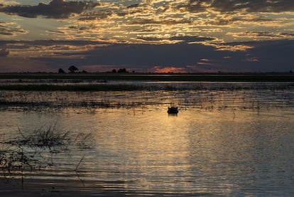 Atardecer en el norte de Botsuana, el conjunto del Delta del Okavango, que es Patrimonio de la Humanidad, y el parque nacional del Chobe lo convierten en rincón único. En el centro, un hipopótamo en el río.