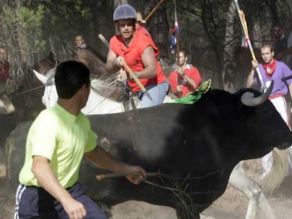 Torneo del Toro de la Vega celebrado ayer en la localidad vallisoletana de Tordesillas.