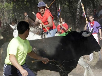 Torneo del Toro de la Vega celebrado ayer en la localidad vallisoletana de Tordesillas.