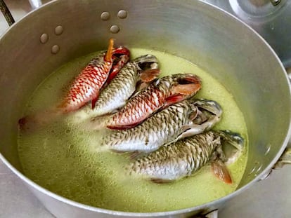 Viejas guisadas en las cocinas de El Drago.