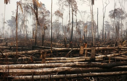 Una zona de la selva amazónica en Boca do Acre, estado de Amazonas (Brasil) tras un incendio el día 24 de agosto de 2019. La amazonía arde de forma veloz por lo que pueden verse cientos de troncos de madera en el suelo y zonas enteras con rastro de haber sido quemadas para dejar terreno abierto.