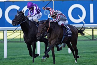 Cirrus de Aigles, en cabeza, campeón de la 'Champions Stakes'.