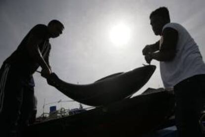 Pescadores descargan un atn de un barco en el puerto de Ulee Lhuee, Banda Aceh (Indonesia). EFE/Archivo