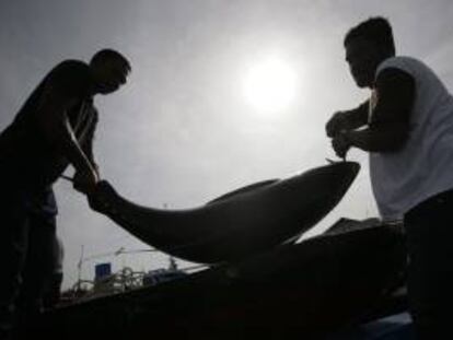 Pescadores descargan un atún de un barco en el puerto de Ulee Lhuee, Banda Aceh (Indonesia). EFE/Archivo