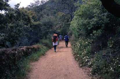 Senderismo en la sierra de Aracena.