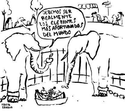 Viñeta de Flavita Banana del 30 de septiembre de 2022