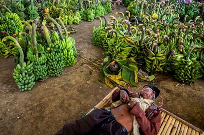 Un vendedor se echa una siesta mientras espera la llegada de clientes en su puesto de bananas en un mercado local en Lumajang, Java oriental, Indonesia.