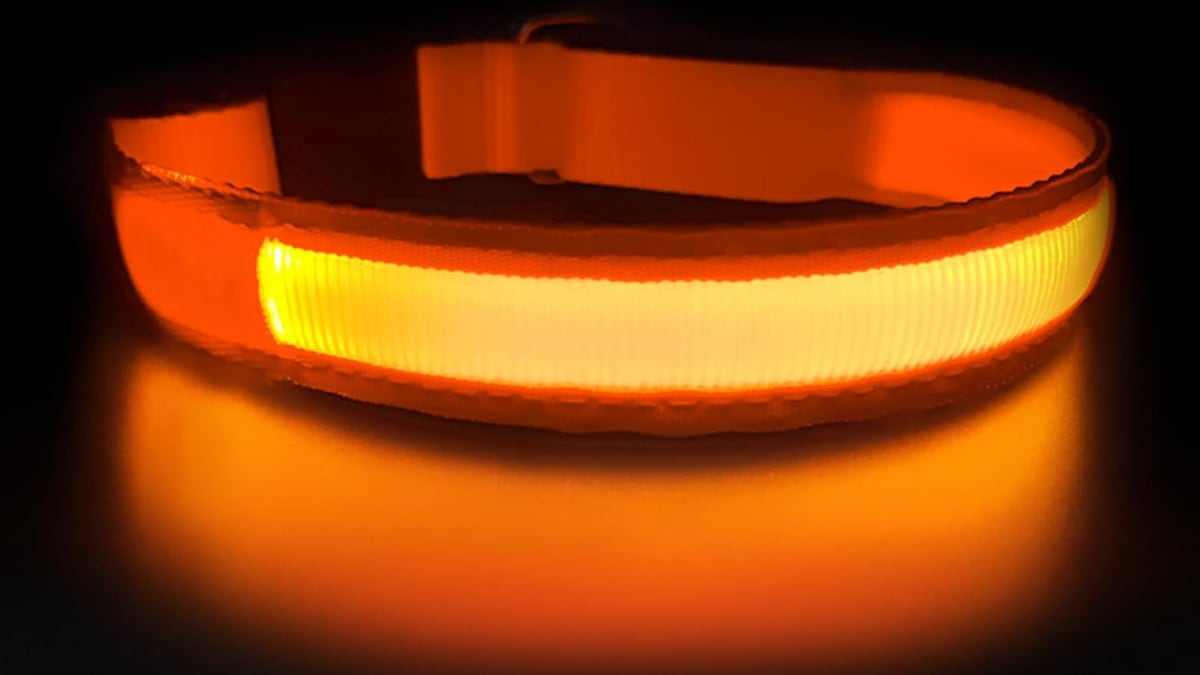 Collar luminoso de Masbrill.