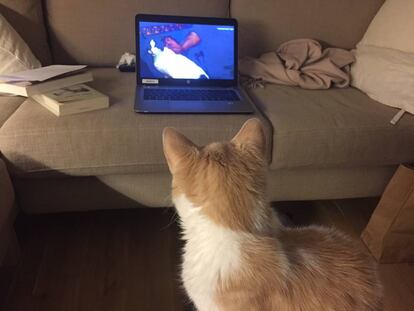 'Mía' viendo su primera película.