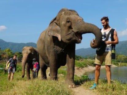 @enriquealex visita un parque de turismo responsable que acoge a animales maltratados