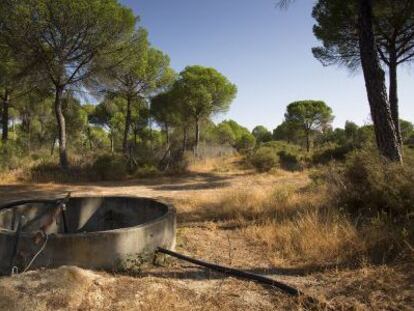 Un pozo ilegal en los alrededores de Doñana.