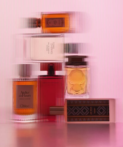 Entregados a lo intenso. Desde arriba, Ambre Sauvage Absolu de GOUTAL, Terre d’Hermès Eau de Parfum Intense de HERMÈS, Atelier des Fleurs Cedrus Intense de CHLOÉ, For Her Eau de Parfum Intense de NARCISO RODRIGUEZ, La Panthère Élixir de CARTIER y Abu Dhabi de MEMO PARIS.