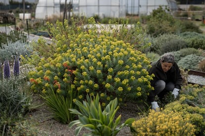 Berta Tasias, directora del centro, en el jardín experimental.