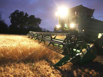 Una cosechadora en plena recolección en un campo de trigo.