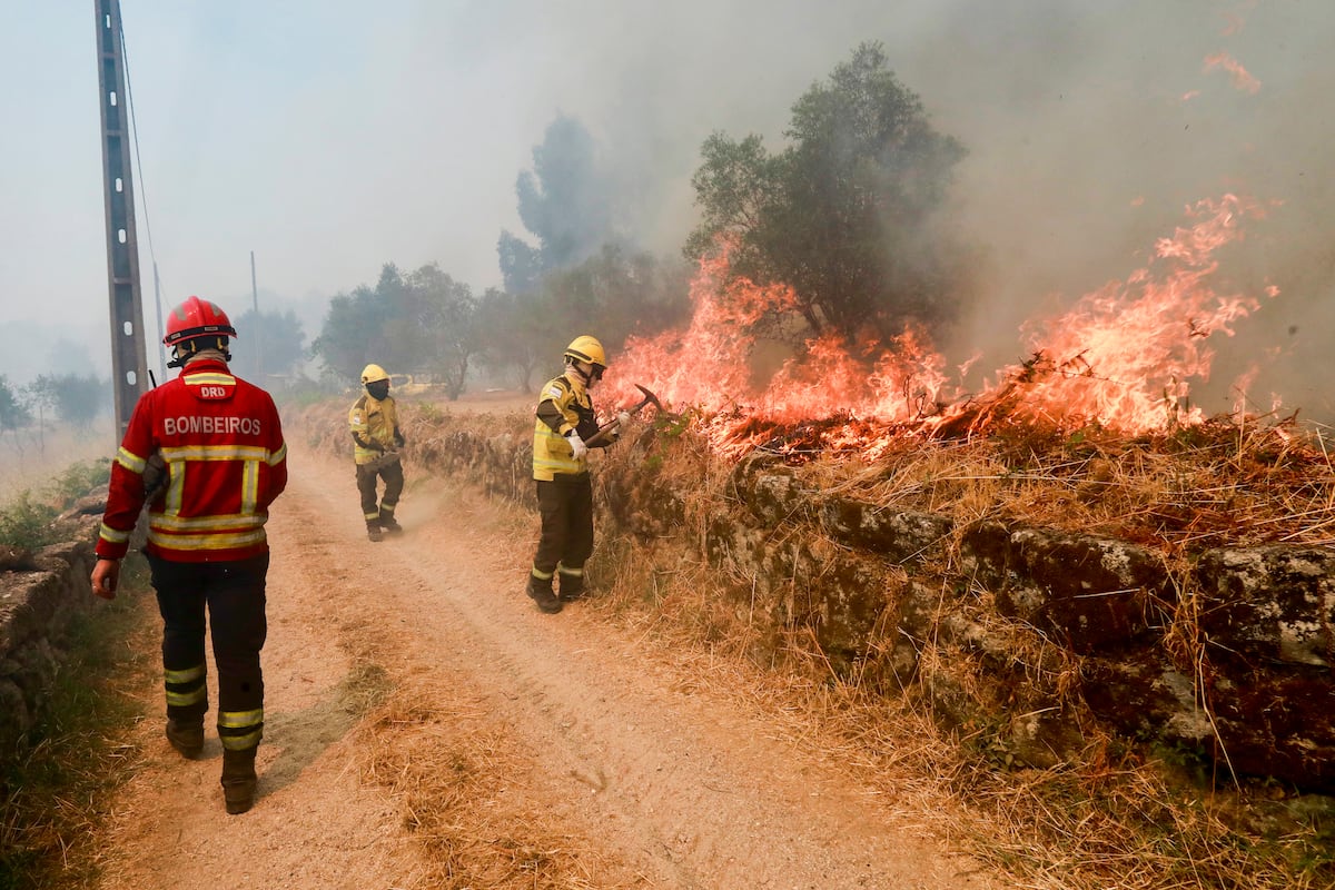Portugal afronta una ola de incendios con falta de medios aéreos ...
