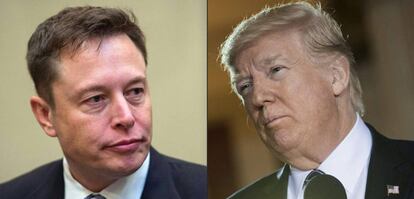 Elon Musk, CEO de Tesla, y Donald Trump, expresidente de EE UU.