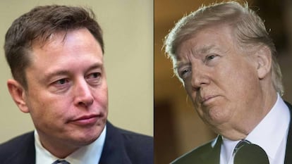 Elon Musk, CEO de Tesla, y Donald Trump, expresidente de EE UU.