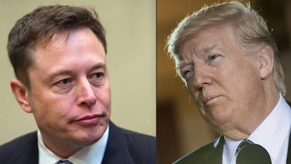 Elon Musk, CEO de Tesla, y Donald Trump, expresidente de EE UU.