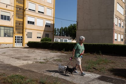 Celia Toral pasea los perros junto a las antiguas viviendas de la azucarera en La Bañeza (León), el 30 de junio.