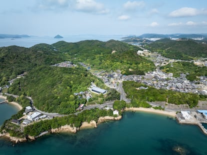 Vista aérea del nuevo Museo de Arte de Naoshima de Tadao Ando.