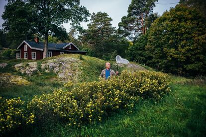 Fredrik Sjöberg, entomologist, writer, literary critic and translator, with an insect hunter at his home in Runmarö, Sweden, on September 26.